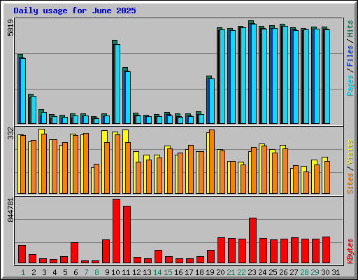 Daily usage for June 2025