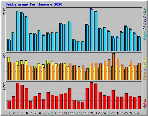 Daily usage for January 2026
