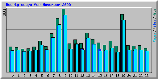 Hourly usage for November 2020