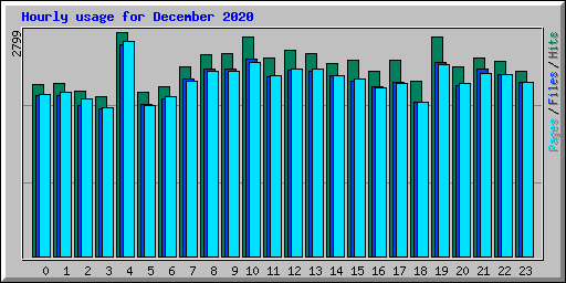 Hourly usage for December 2020