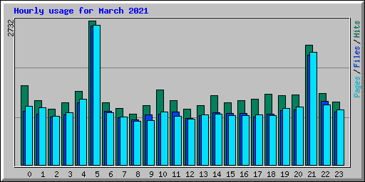 Hourly usage for March 2021