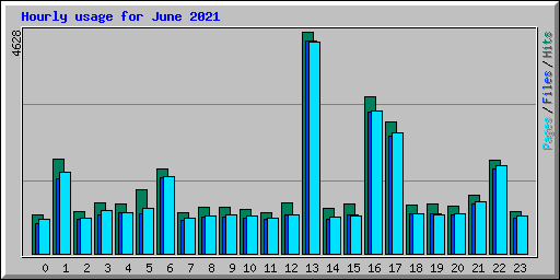 Hourly usage for June 2021