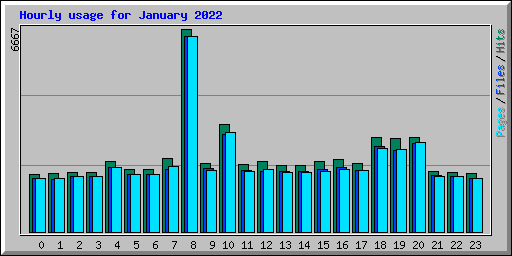Hourly usage for January 2022