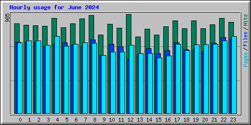 Hourly usage for June 2024