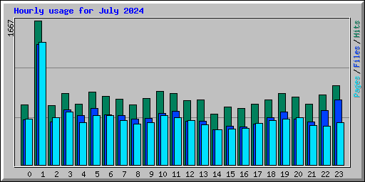 Hourly usage for July 2024