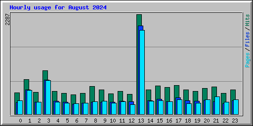 Hourly usage for August 2024