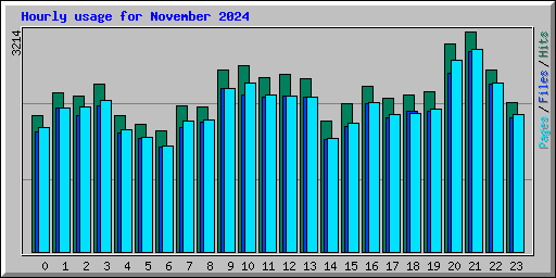 Hourly usage for November 2024
