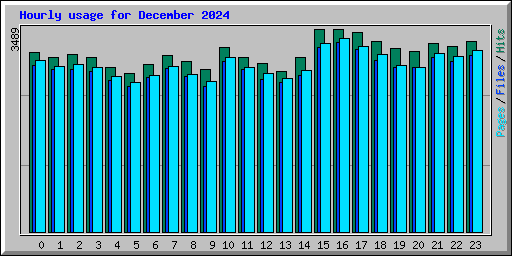 Hourly usage for December 2024