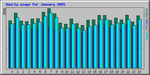 Hourly usage for January 2025