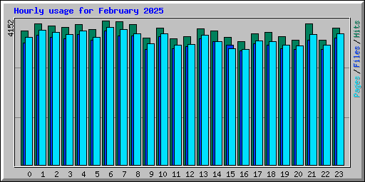 Hourly usage for February 2025