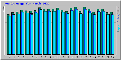 Hourly usage for March 2025