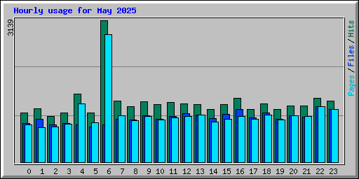 Hourly usage for May 2025