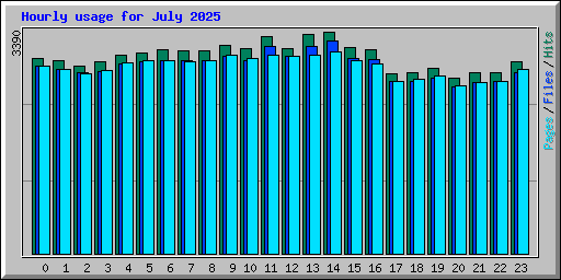 Hourly usage for July 2025
