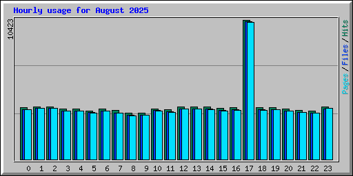 Hourly usage for August 2025