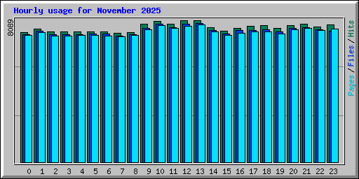 Hourly usage for November 2025