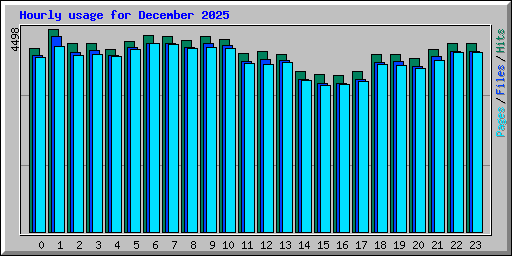 Hourly usage for December 2025