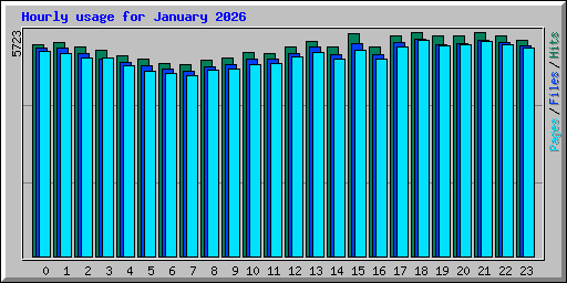 Hourly usage for January 2026