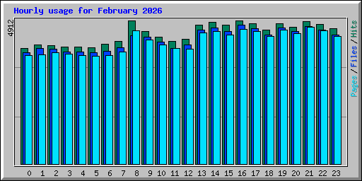 Hourly usage for February 2026